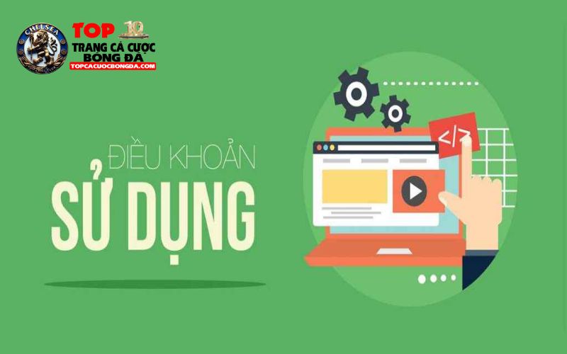 Mức độ quan trọng của điều khoản sử dụng tại topcacuobongda Mức độ quan trọng của điều khoản sử dụng tại topcacuobongda